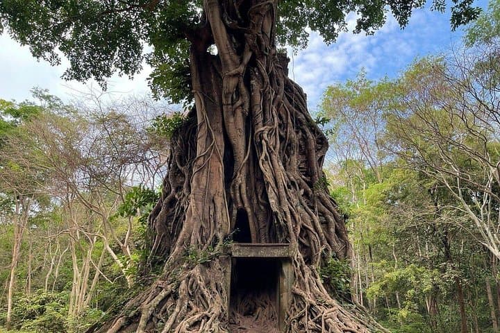 Beng Mealea & Sambor Prei Kuk Temple Tour: Hidden Khmer Treasures from Siem Reap photo 2