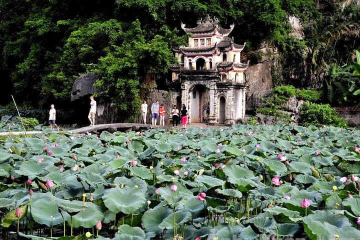 Ninh Binh Luxury 1-Day Tour: Trang An, Bich Dong & Tam Coc Cycling
