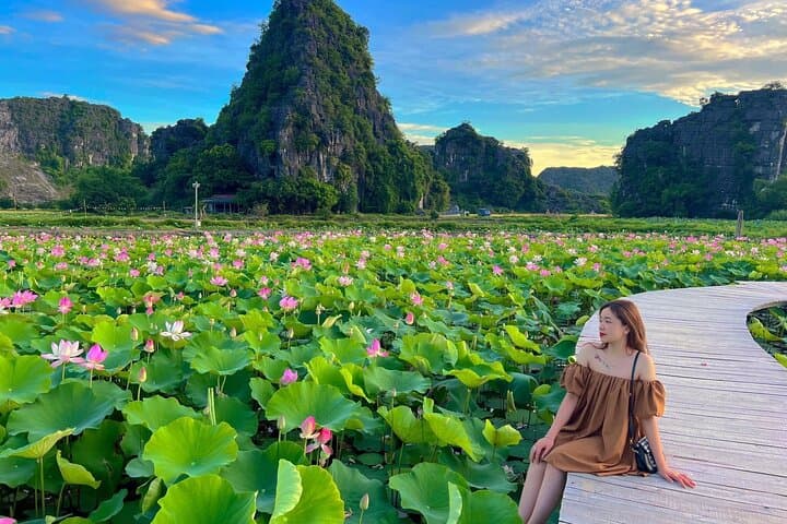 Tam Coc, Mua Cave & Hoa Lu: Full-Day Luxury Tour from Hanoi photo 1