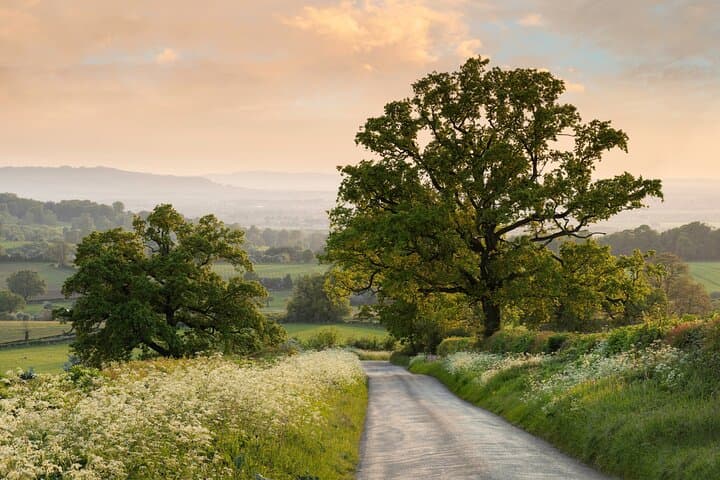 Private Curated Cotswolds Tour from Moreton-in-Marsh — Villages, Views & Cream Tea photo 2