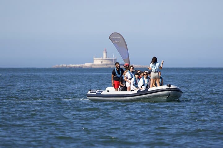 Lisbon Dolphin Watching with Marine Biologist — Small Group Tour photo 6