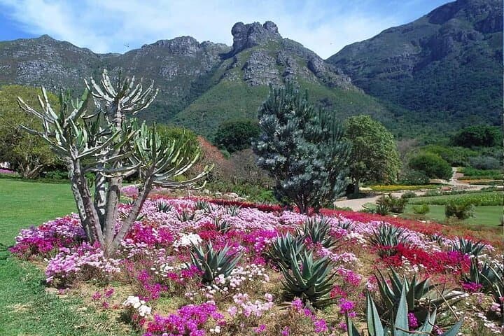 Cape Town Full-Day City Tour with Kirstenbosch Gardens and Table Mountain Views