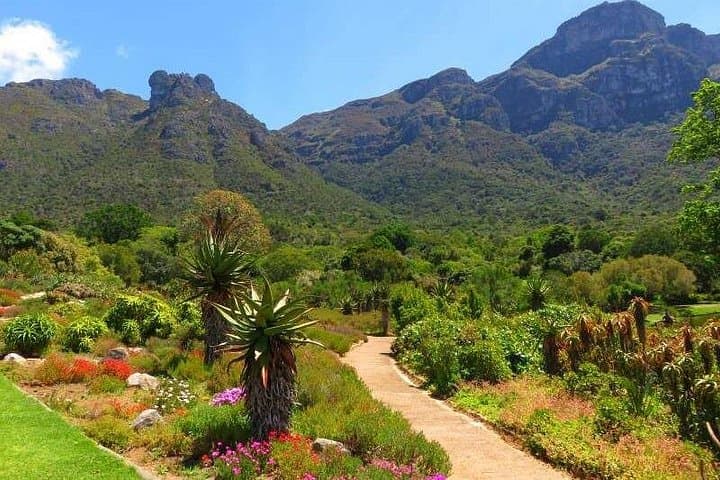 Cape Town Full-Day City Tour with Kirstenbosch Gardens and Table Mountain Views photo 2
