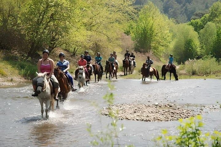 Marmaris Horse Safari: Turunç Forest Rides for All Levels photo 1