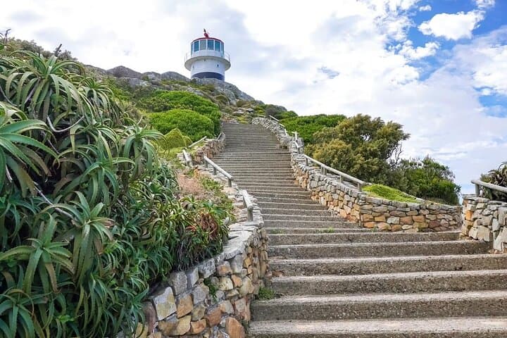 Cape Peninsula Private Tour: Chapman's Peak, Cape Point & Boulders Beach Day Trip photo 3