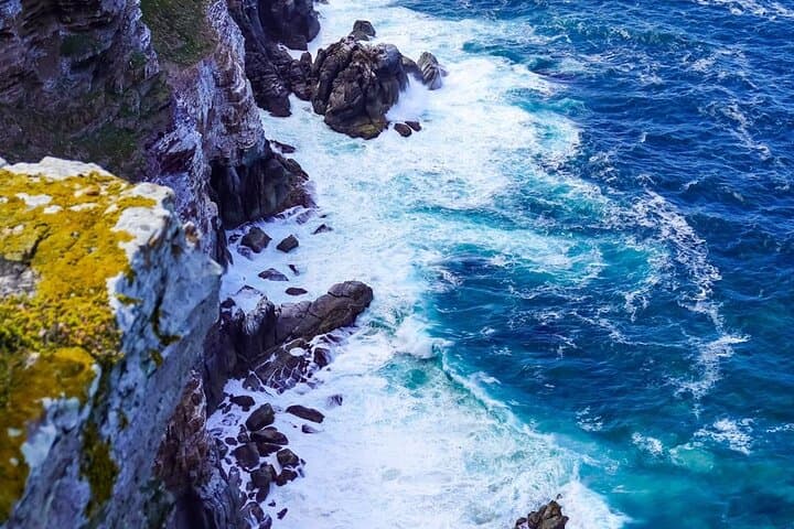 Cape Peninsula Private Tour: Chapman's Peak, Cape Point & Boulders Beach Day Trip photo 4