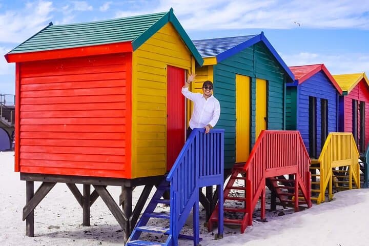Cape Peninsula Private Tour: Chapman's Peak, Cape Point & Boulders Beach Day Trip photo 5