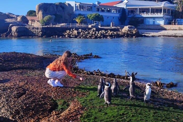 Cape Peninsula Private Tour: Chapman's Peak, Cape Point & Boulders Beach Day Trip photo 6