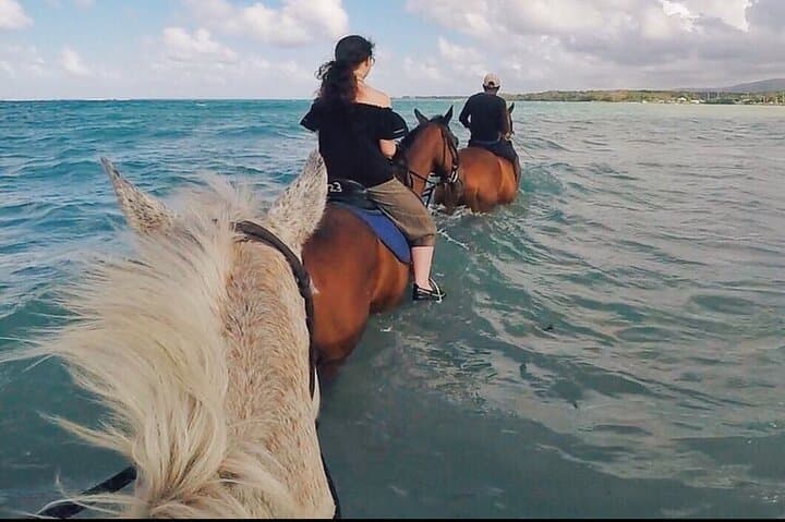 Montego Bay Horseback Swim and Dunn's River Falls Excursion photo 2