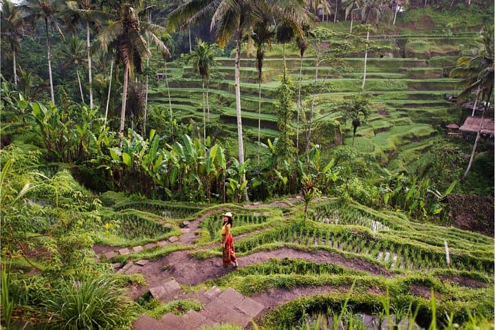 Best of Ubud: Waterfalls, Temples & Rice Terraces Day Tour photo 5