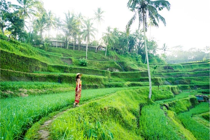 Best of Ubud: Waterfalls, Temples & Rice Terraces Day Tour photo 4