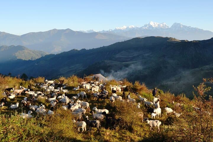 Pattale Danda Everest View & Rural Village Tour from Kathmandu photo 3