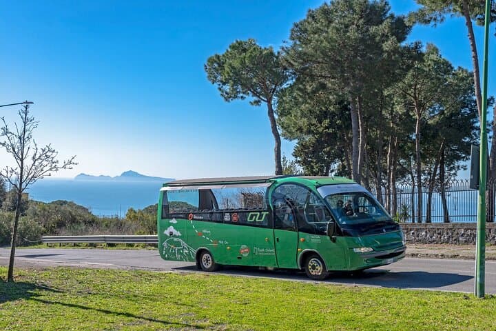 Pompeii and Mount Vesuvius Day Trip from Rome — Guided Tour with Lunch photo 3