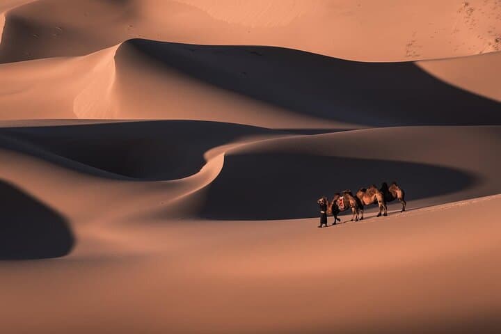 6-Day Gobi Desert Tour: Flaming Cliffs, Khongor Dunes & Nomadic Camps