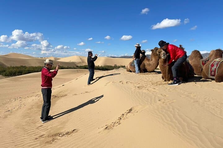 6-Day Gobi Desert Tour: Flaming Cliffs, Khongor Dunes & Nomadic Camps photo 6