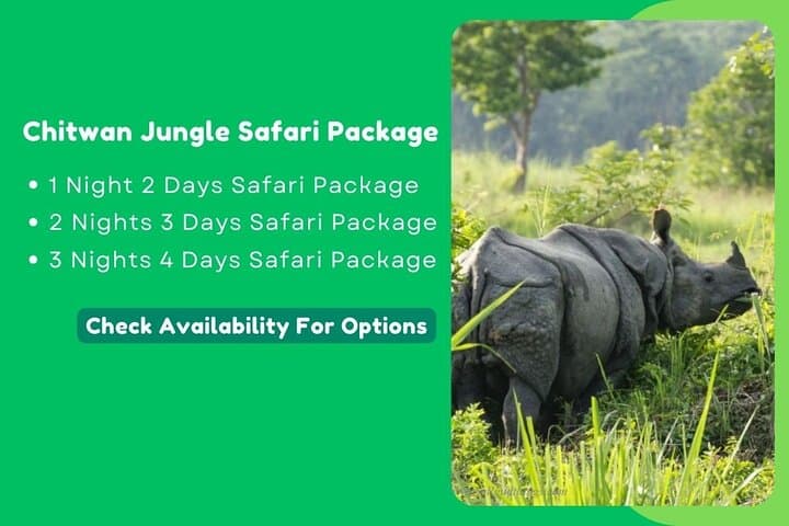 Chitwan Jungle Safari: 2-Night, 3-Day All-Inclusive Wildlife Package from Kathmandu photo 2