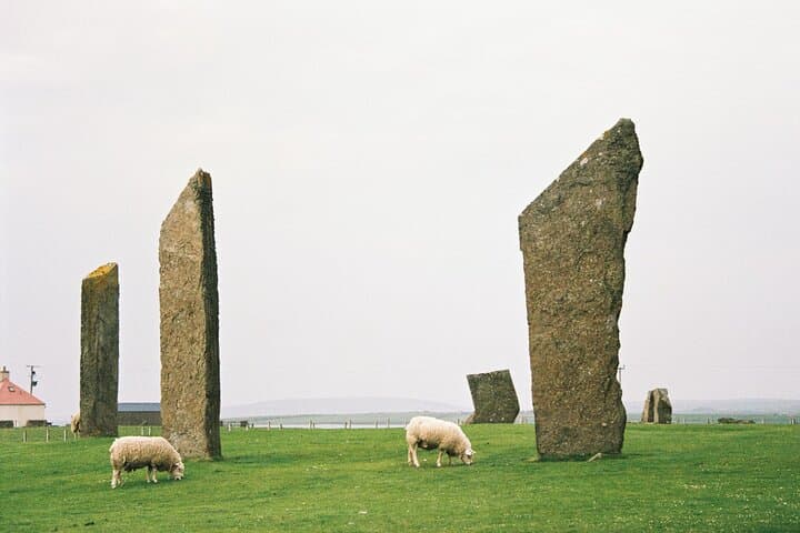 Kirkwall Small-Group Shore Excursion: Highlights of Orkney in 6 Hours photo 2