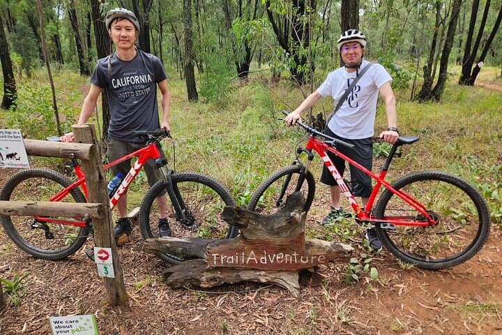 Private Guided Mountain Biking near Pretoria: Forest Tracks & Tailored Rides