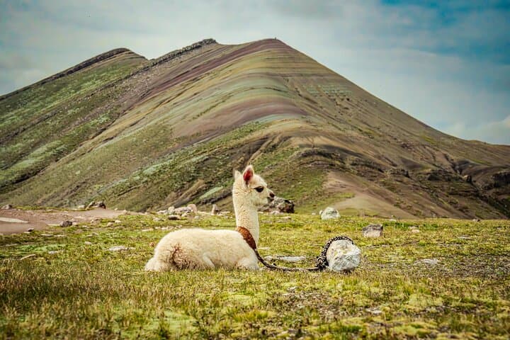 Palccoyo Rainbow Mountains Day Trip from Cusco — Practical Guide to Palccoyo's Colorful Peaks photo 3