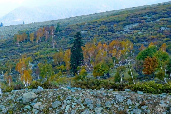 Gulmarg Day Trip: Gondola, Affarwat Views & Dung Waterfall from Srinagar photo 4