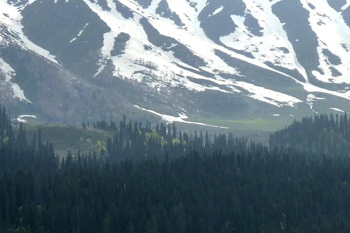 Gulmarg Day Trip: Gondola, Affarwat Views & Dung Waterfall from Srinagar