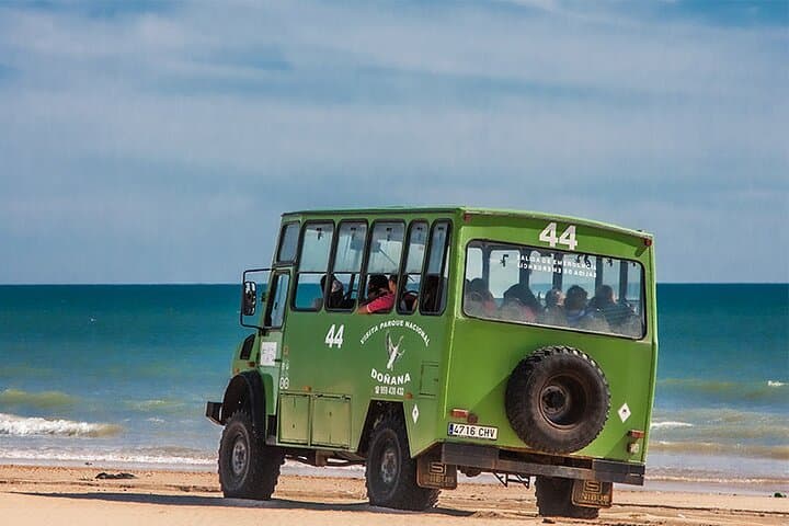 Doñana 4x4 and El Rocío Tour — Coastal Dunes, Marshes & Pilgrim Village