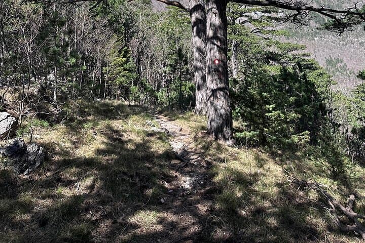 Paklenica Hiking from Zadar: Private Day Hike to Lugarnica Hut & Viewpoint photo 6