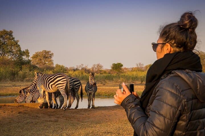 Garden Route Express: 2-Day Big 5 Safari, Cango Caves & Tsitsikamma from Cape Town photo 3