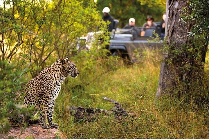 Garden Route Express: 2-Day Big 5 Safari, Cango Caves & Tsitsikamma from Cape Town photo 4