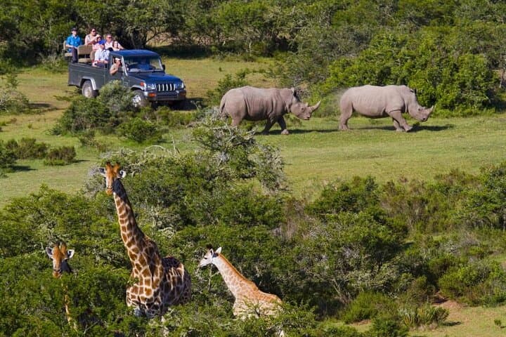 Garden Route Express: 2-Day Big 5 Safari, Cango Caves & Tsitsikamma from Cape Town photo 1