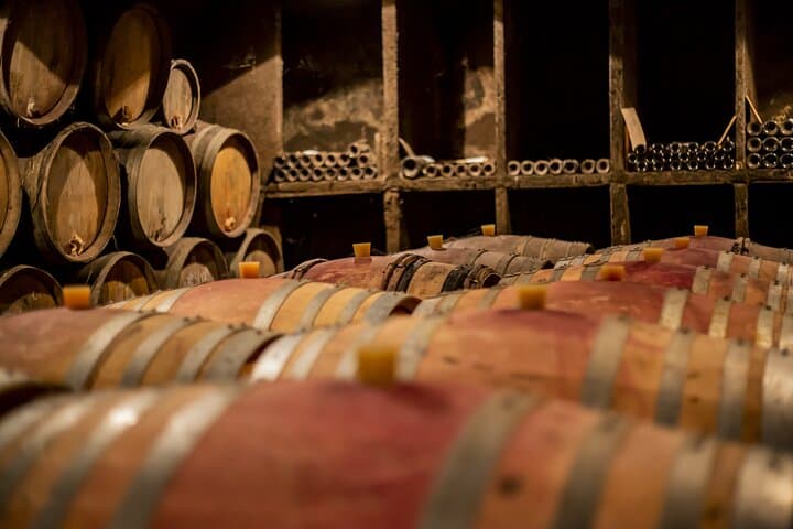 Full-Day Private Wine Tour in Côte de Nuits — Burgundy Grand Cru Tasting from Beaune photo 2