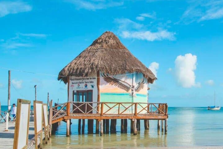 Self-Guided Holbox Walking Map — Downtown Murals, Punta Mosquito & Punta Coco photo 4