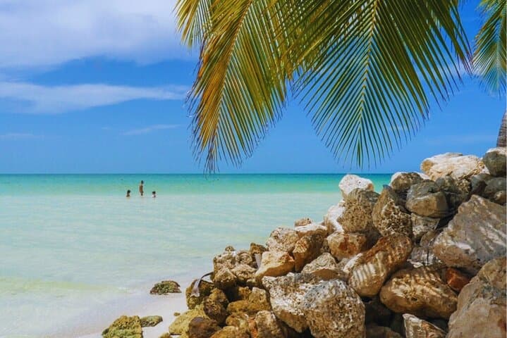 Self-Guided Holbox Bike & SUP Tour — Punta Mosquito, Punta Coco and Downtown Routes photo 3