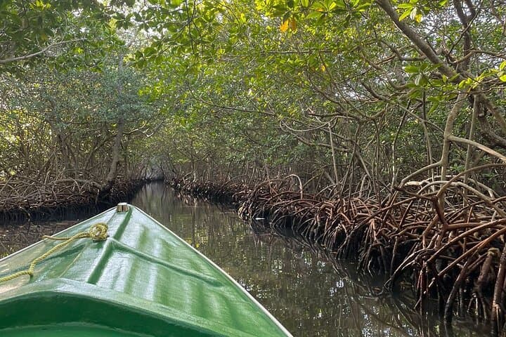 Roatán East End Private Tour: Garifuna Culture & Jonesville Mangrove Tunnels
