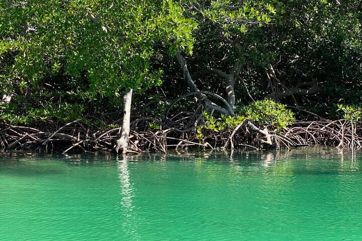 Roatán East End Private Tour: Garifuna Culture & Jonesville Mangrove Tunnels photo 6