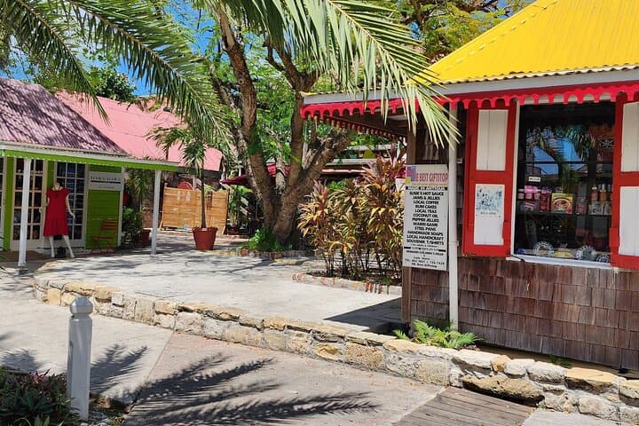 Luxury Private Transfers and Full-Day St. John's Sightseeing Tour — JTAT Antigua photo 2