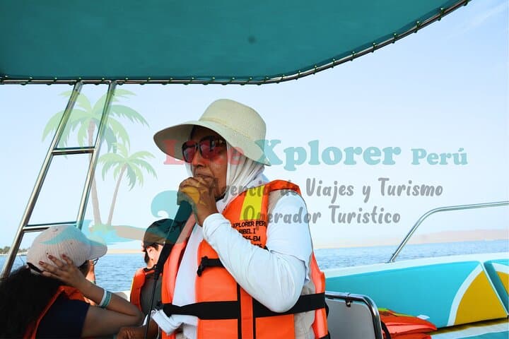 Ballestas Islands Speedboat Tour from Paracas — 2-Hour Wildlife Cruise photo 6