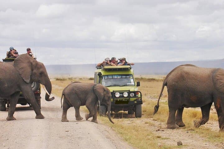 4-Day Flying Safari to Maasai Mara at Keekorok Lodge — Luxury Game Drives & Lodge Stays photo 4