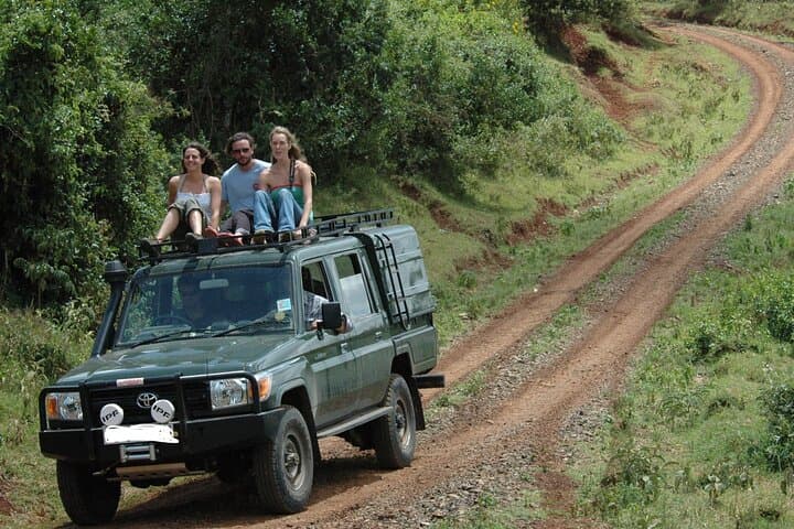 4-Day Ol Pejeta, Aberdare & Solio Ranch Safari: Rhinos, Waterfalls & Big-Game Drives photo 6