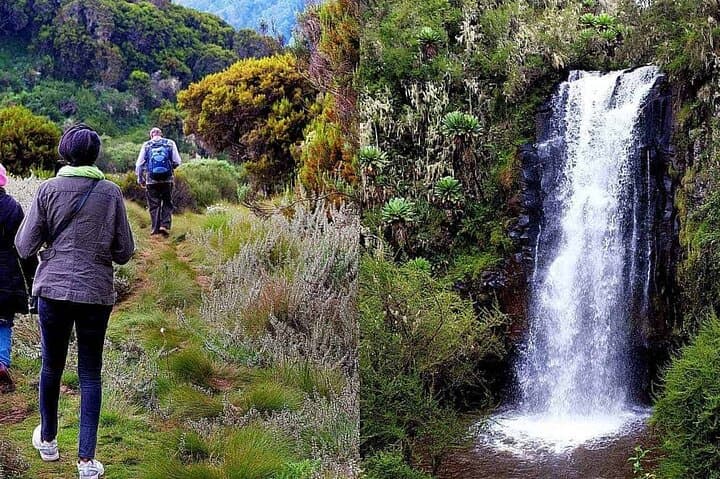 4-Day Ol Pejeta, Aberdare & Solio Ranch 4x4 Safari from Nairobi photo 4