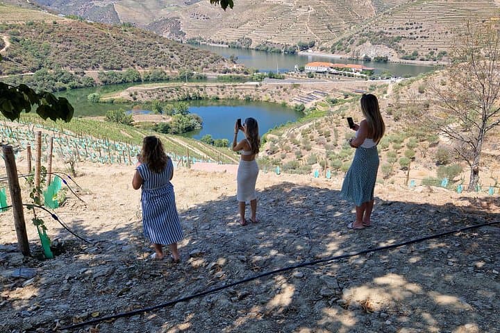 Douro Valley Winery Tour from Porto: Pinhão Boat Cruise, Wine Tasting & N222 Drive
