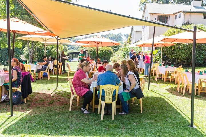 Nairobi Day Tour to Kiambethu Tea Farm: Tasting, Forest Walk & Three‑Course Lunch photo 2