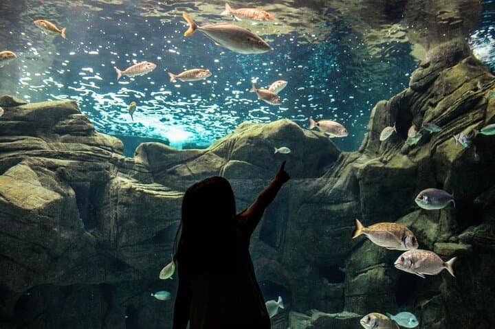 Day Trip from Rethymno to Dinosauria Park & Cretaquarium: Family-Friendly Science and Sea Life