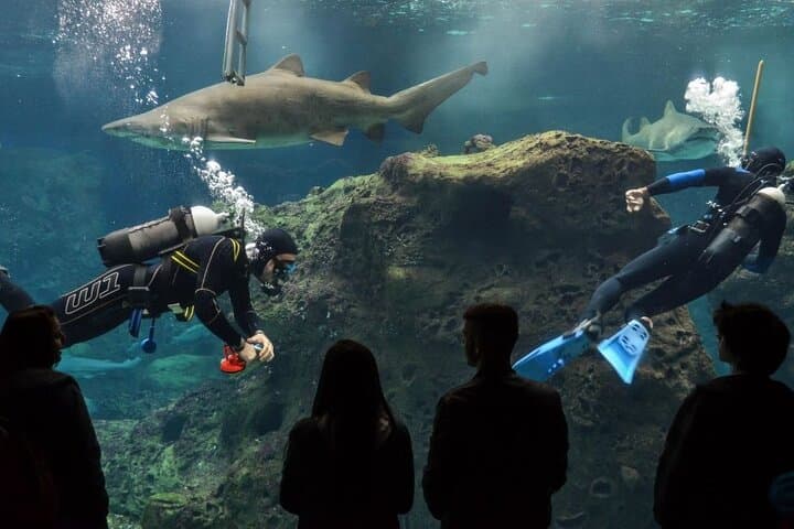 Day Trip from Rethymno to Dinosauria Park & Cretaquarium: Family-Friendly Science and Sea Life photo 3