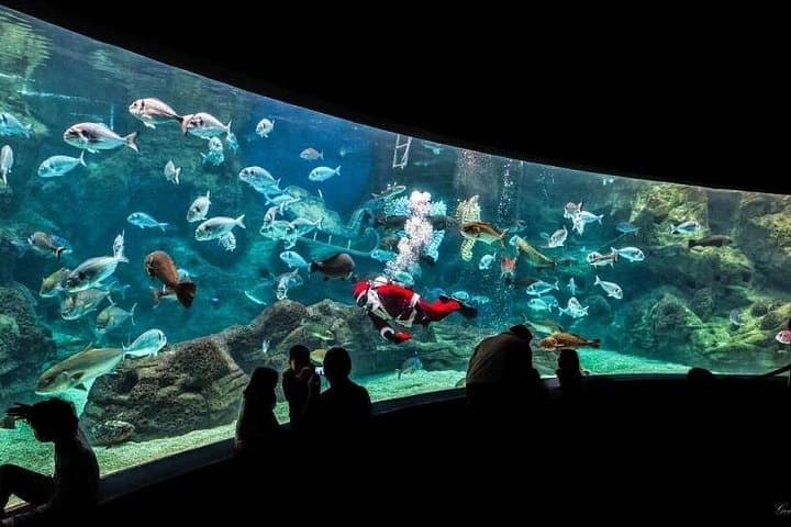 Day Trip from Rethymno to Dinosauria Park & Cretaquarium: Family-Friendly Science and Sea Life photo 6