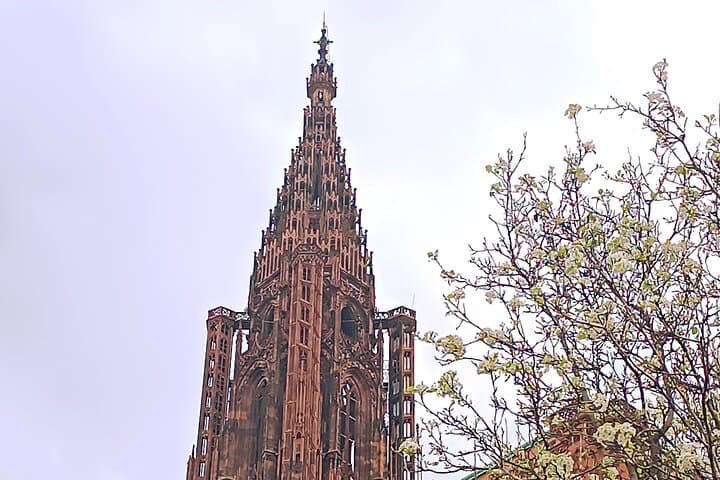 Inside Strasbourg Cathedral: Guided Tour of Notre-Dame’s History and Astronomical Clock