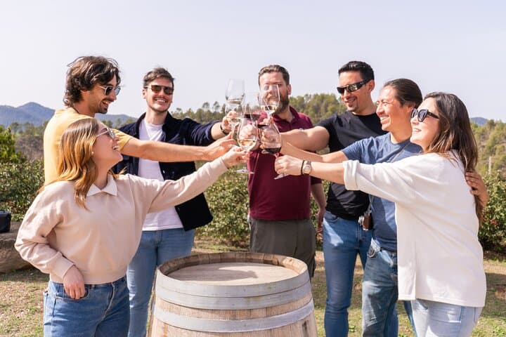 Montserrat Full-Day Tour: Monastery, Cogwheel Train & Winery Lunch