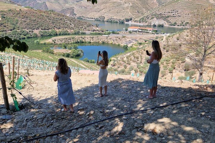 Douro Valley River Cruise & Wine Tasting: Full-Day Tour from Porto