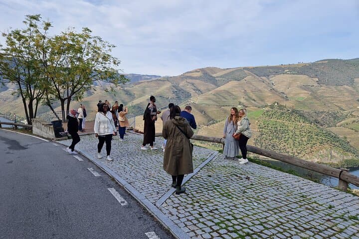 Douro Valley Day Tour from Gaia: Wine Tasting, Lunch and Douro River Cruise photo 6