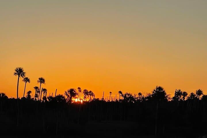 King's Bay Sunset Cruise: Wildlife and Evening Calm on Florida’s Crystal River photo 3
